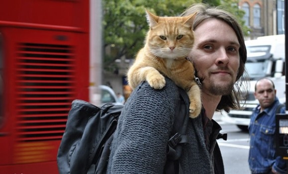 1人のホームレスの人生を救った1匹の猫の物語