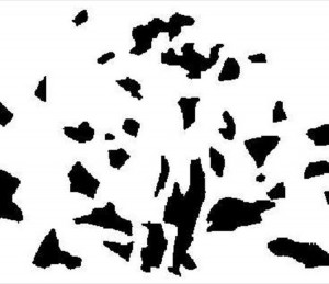 【診断】この画像、何に見えますか？3分以上かかったあなたは疲れています！