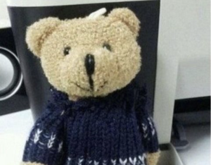 可愛らしいクマのぬいぐるみの服を脱がしてみたら・・・いやぁぁぁぁぁ！