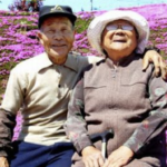 突然失明し塞ぎ込んでしまった奥さん。そんな奥さんのために、 旦那さんが何年もかけて造ってきたものに涙が止まらない・・・