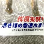 【検証】活き締め急速冷凍された「ドジョウ」は本当に生き返るのか？