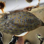 『マジで危なかった!』SNSに投稿したことで命拾いしたエピソードが話題に!