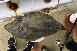 『マジで危なかった！』SNSに投稿したことで命拾いしたエピソードが話題に！