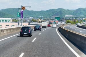 信じられない光景を目にした！なんと高速道路で犬が車窓から捨てられたのです！！その捨てられた犬の運命は・・？