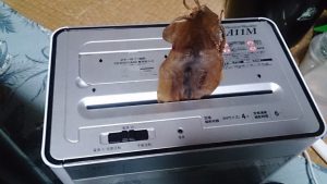 この発想はなかった！シュレッダーで「スルメ」を入れると「さきいか」になるのか？・・実際にやってみたらこうなった！ww