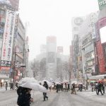 普段雪の降らない地域が積雪するとこんなにも危険が一杯!・・今一度、自分の事として再確認して欲しい。