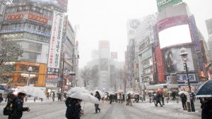 普段雪の降らない地域が積雪するとこんなにも危険が一杯！・・今一度、自分の事として再確認して欲しい。
