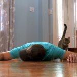 猫はご主人さんの緊急事態にどんな反応を示すか?→愛猫の前で苦しみながら倒れ込んでみた結果・・・