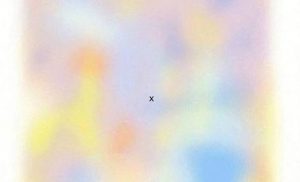 この画像の×印をずっと見つめてみてください・・その後に起こる結果に『えっ、なんで！！』