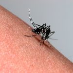 何で今まで気づかなかったのか・・「これなら確実に仕留めれる!」蚊を劇的に退治できる裏ワザが大反響!