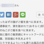 「亡くなったはずの猫がご飯を食べに来ます」そんな悩み相談に対してのベストアンサーが1つ上をいく回答で思わず涙が溢れた・・
