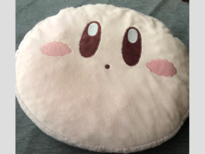 お母さんが星のカービィのクッションを洗っているというので、心配になって洗濯機を見たら・・・えっ！（笑）