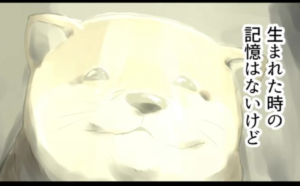 捨て犬になるとどうなるの？ → 保健所の実態を描いた漫画に涙が止まらない・・