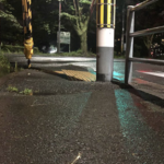 な、、なんじゃこりゃ!?雨上がりの道路にとんでもないものが落ちていた!!思わず二度見してしまう「とんでもないもの」とは!?