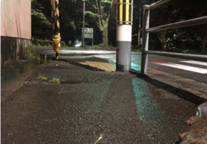 な、、なんじゃこりゃ！？雨上がりの道路にとんでもないものが落ちていた！！思わず二度見してしまう「とんでもないもの」とは！？