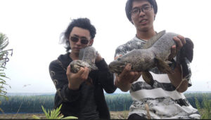 まるで四コマ漫画！（笑）１秒の間に男性の身に起こった悲劇のオチに腹筋崩壊！