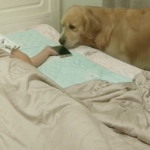 スマホを握って寝てしまった飼い主さん。愛犬がこの後とった行動に目を疑った・・・