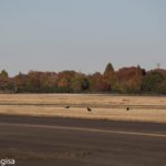 自衛隊の駐屯地で撮影された1枚の写真。何気ない風景写真かと思いきや驚きのものが写り込んでいた・・・!