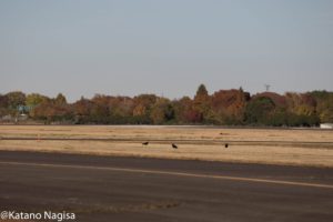 自衛隊の駐屯地で撮影された１枚の写真。何気ない風景写真かと思いきや驚きのものが写り込んでいた・・・！