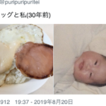 2枚の写真を並べてみたら・・・(笑)もうそれにしか見えない!!8選!