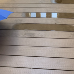 犬と間違えて「足が濡れるから戻っておいでー」と5分くらい話しかけていたものが・・・。これは爆笑。