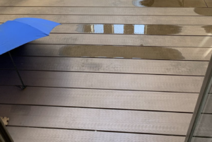 犬と間違えて「足が濡れるから戻っておいでー」と5分くらい話しかけていたものが・・・。これは爆笑。