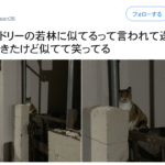 「やめてくれ!もうそれにしか見えないじゃないか!(笑)」8選!がじわじわくる・・・