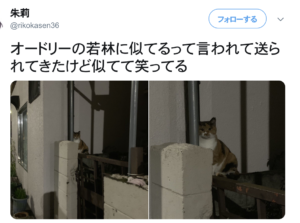 「やめてくれ！もうそれにしか見えないじゃないか！（笑）」８選！がじわじわくる・・・