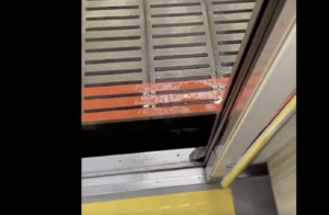 電車が停車中、ふと下を見たら『それ』がいた・・・。「普通に怖い」