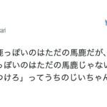 「一冊の本にしたい!」じいちゃんばあちゃんの名言5選が心に刺さる!