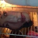 「一瞬目を疑う光景がそこには広がっていた・・・」事件臭が凄い場面に遭遇したエピソード(笑)7選!