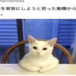 誰や、考えたの(笑)画像に付けられたコメントが天才すぎる7選!