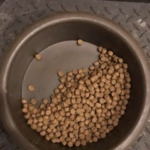 大好きなご飯を半分残した愛犬。その理由に気づいた時涙が止まらなかった・・・
