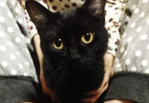 毎晩コンビニでビールと猫缶を買っていた男性。割り箸をつけて貰っていたせいで付けられていたあだ名が・・・。「これは笑う（笑）」