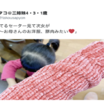 そう言われてみたら・・・もうそれにしか見えない（笑）９選！