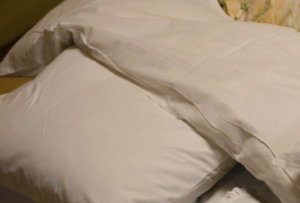 旅館にお人形を連れて行ったら・・・スタッフさんから驚きの神対応！！これぞホスピタリティの極み。