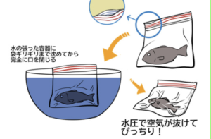 意外と知られていないライフハック！鮮度を保った冷凍方法が話題！これで冷凍焼けが防げて解凍後も美味しく食べられる！