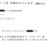 爪とぎ『カリカリーナ』を注文した翌日、愛猫が亡くなってしまいキャンセル連絡をしたら・・・スタッフからの驚きの対応に涙