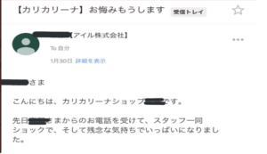 爪とぎ『カリカリーナ』を注文した翌日、愛猫が亡くなってしまいキャンセル連絡をしたら・・・スタッフからの驚きの対応に涙