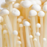 きのこで死亡?!きのこの絶対にやってはいけない食べ方があるって知ってましたか・・?