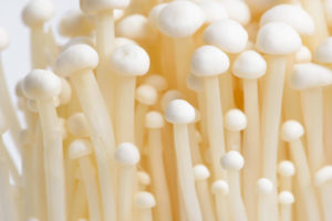 きのこで死亡？！きのこの絶対にやってはいけない食べ方があるって知ってましたか・・？