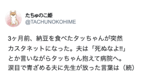 納豆を食べた愛犬が突然おかしくなった。夫は「死ぬなよ!!」と抱えて病院へ。涙目で青ざめる夫に先生が放った言葉は・・・