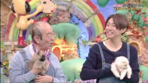 『天才！志村どうぶつ園』が継続決定！その詳細に顔がほころぶ！