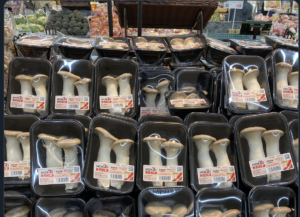 ちょっと特殊な『美味しいエリンギを選ぶコツ』が話題に！「今までの常識が覆された・・・」