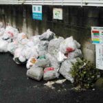 『近所に怖い奴ヤツがいる・・・』と投稿された一枚の写真。ゴミ捨てに捨てられたあるものを見てゾッとした