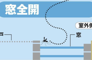 網戸を閉めているのになぜか家の中に虫がいる、そんなことありませんか？→網戸や窓の閉め方が原因かもしれません！