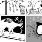 突然、2階で暴れる愛猫の音が。急いで上がってみると・・・その後起きた展開にゾッとする。