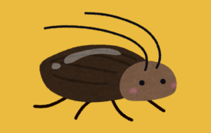 ゴキブリ対策として『とあるもの』をお茶パックに入れて部屋に置いた結果→「4年近く家でGを見てない。」