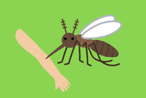 蚊に刺されたら試してみて！『腫れもかゆみもなくなる』という対処法が話題に！