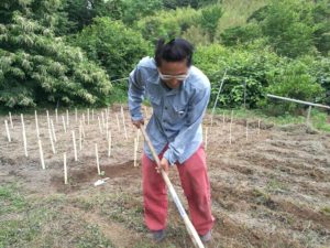 蚊が全然寄ってこなくなる斬新な方法が話題に！「凄い効果」「天才」